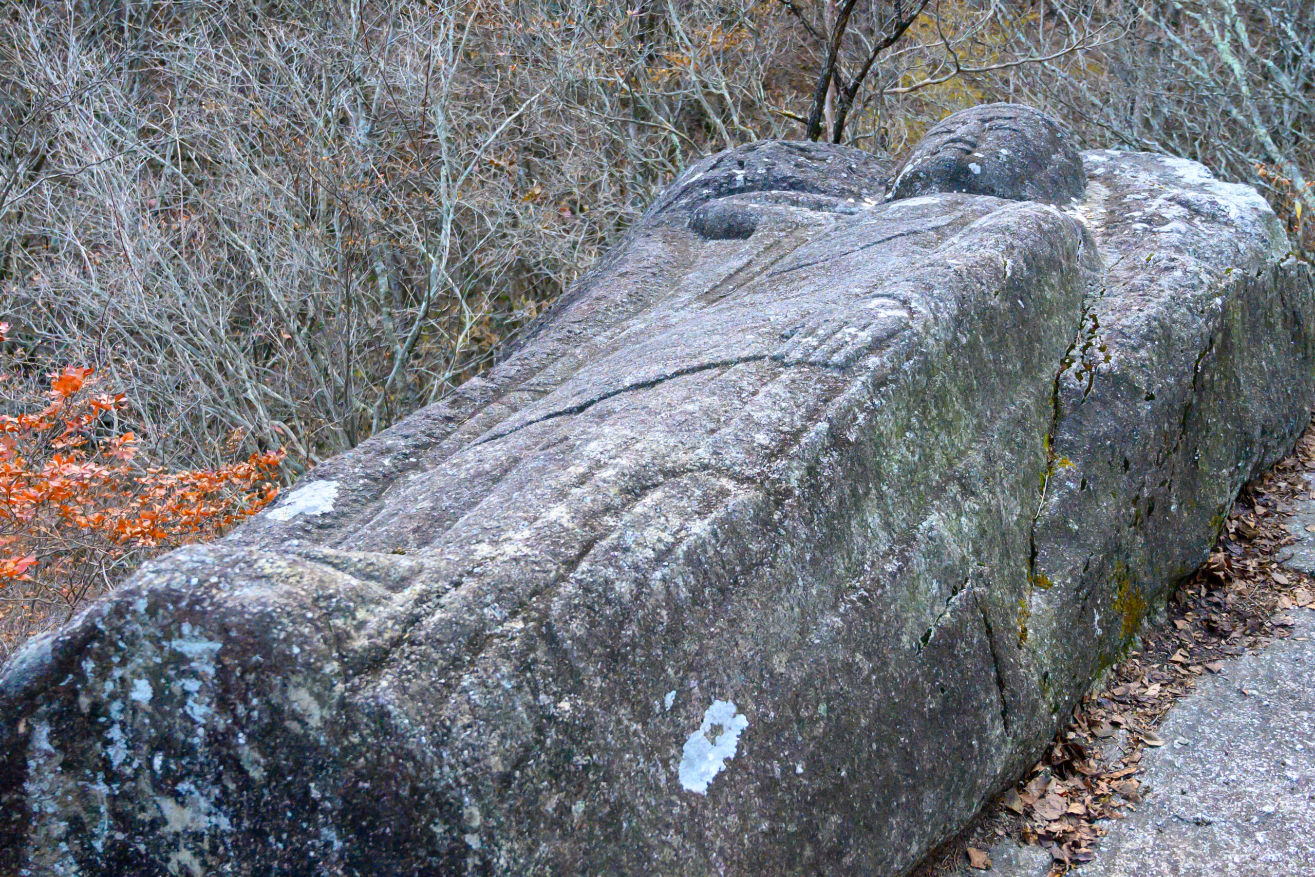 寝釈迦 | みどころ情報 | わたらせ渓谷鐵道が走る群馬県みどり市の観光
