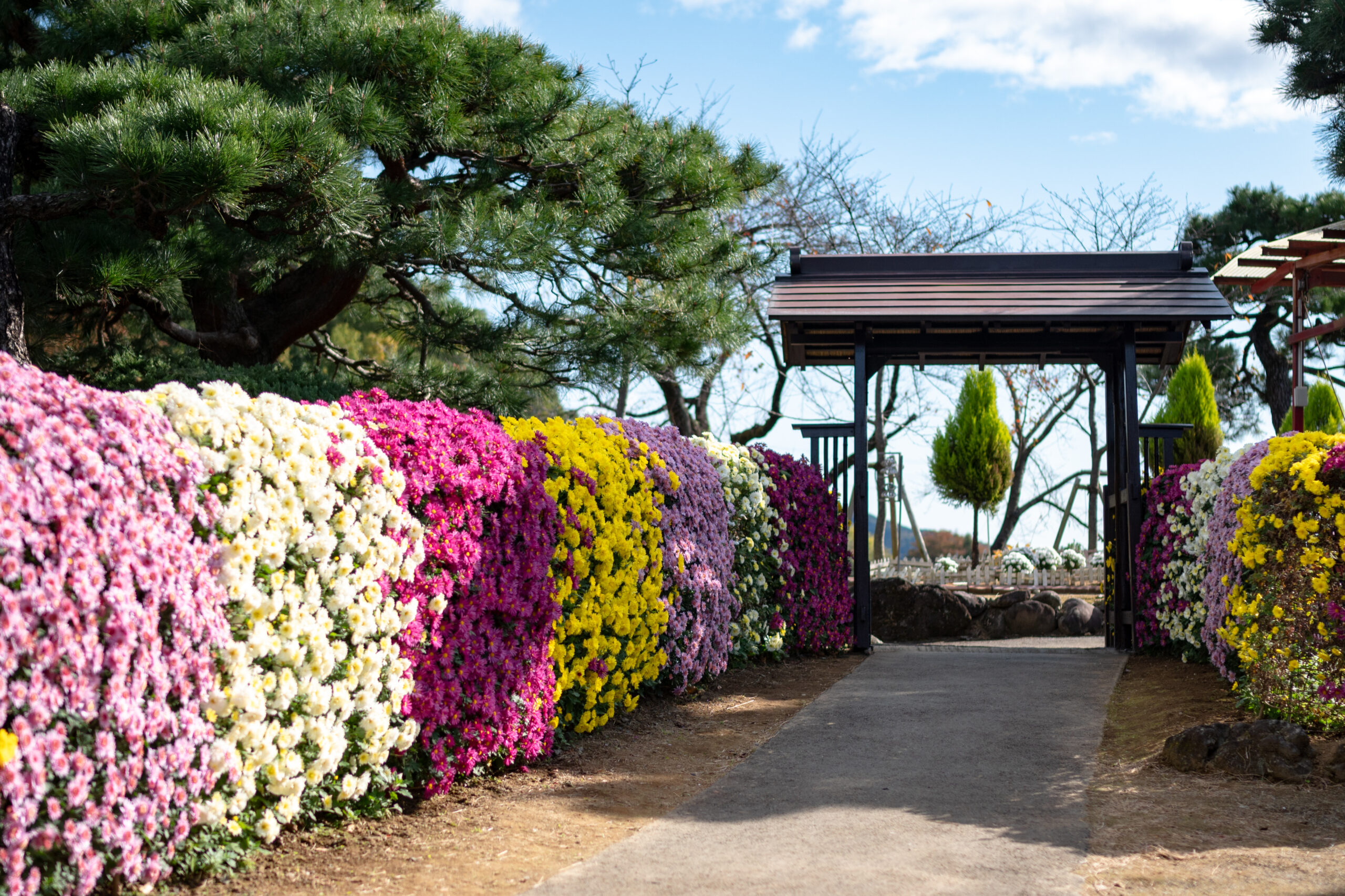ながめ公園 いろどりみどり市のみどころ情報一覧 わたらせ渓谷鐵道が走る群馬県みどり市の公式観光サイト