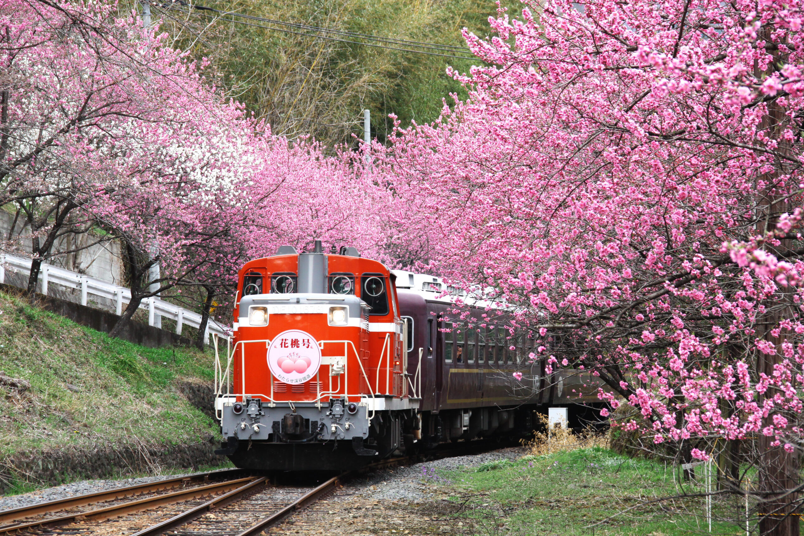 わたらせ渓谷鐵道｜トロッコ列車 | いろどりみどり市のみどころ情報一覧｜わたらせ渓谷鐵道が走る群馬県みどり市の公式観光サイト