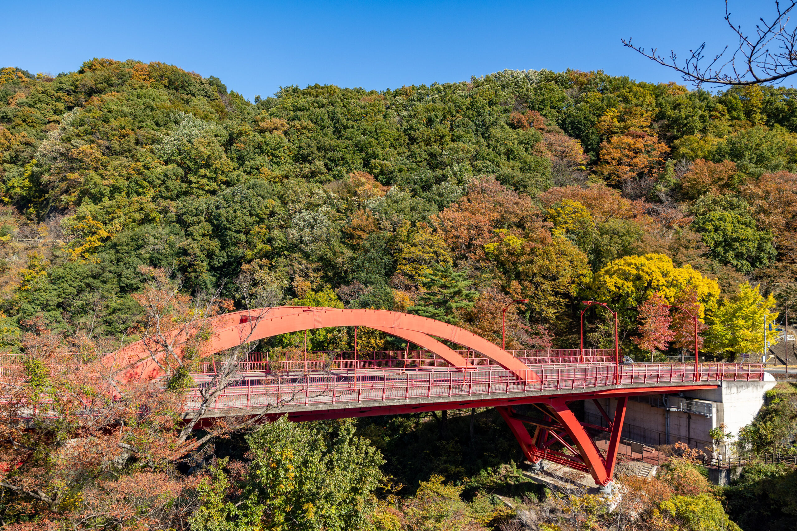 高橋 株式会社PuzzLink】 取締役 高橋遼平さん – ハタラクラボ