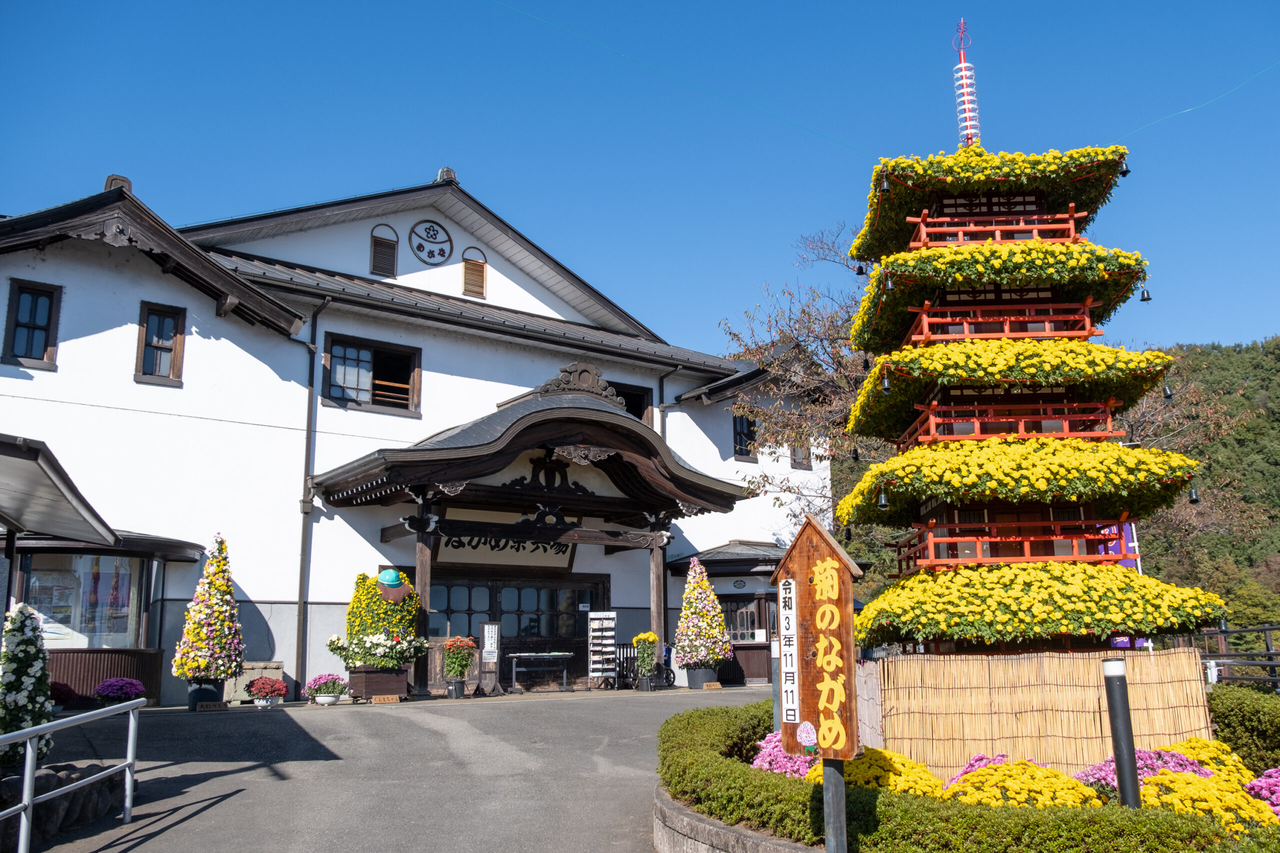 関東周辺四季の花巡り 終了】第67回関東菊花大会 | イベント情報 | わたらせ渓谷鐵道が走る